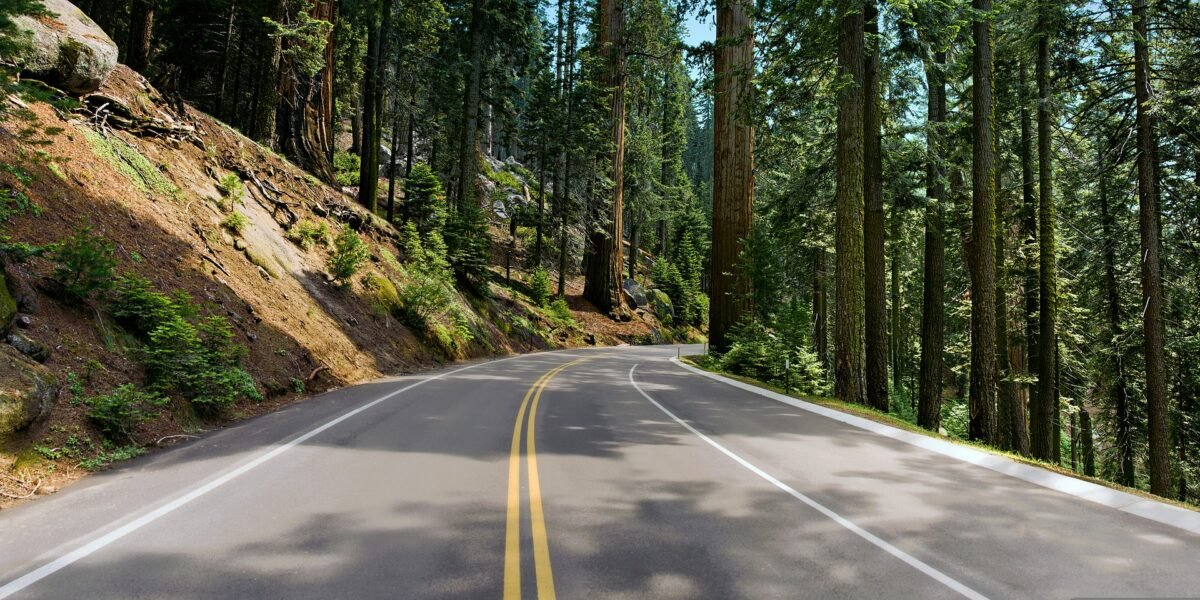 Redwood Highway, California