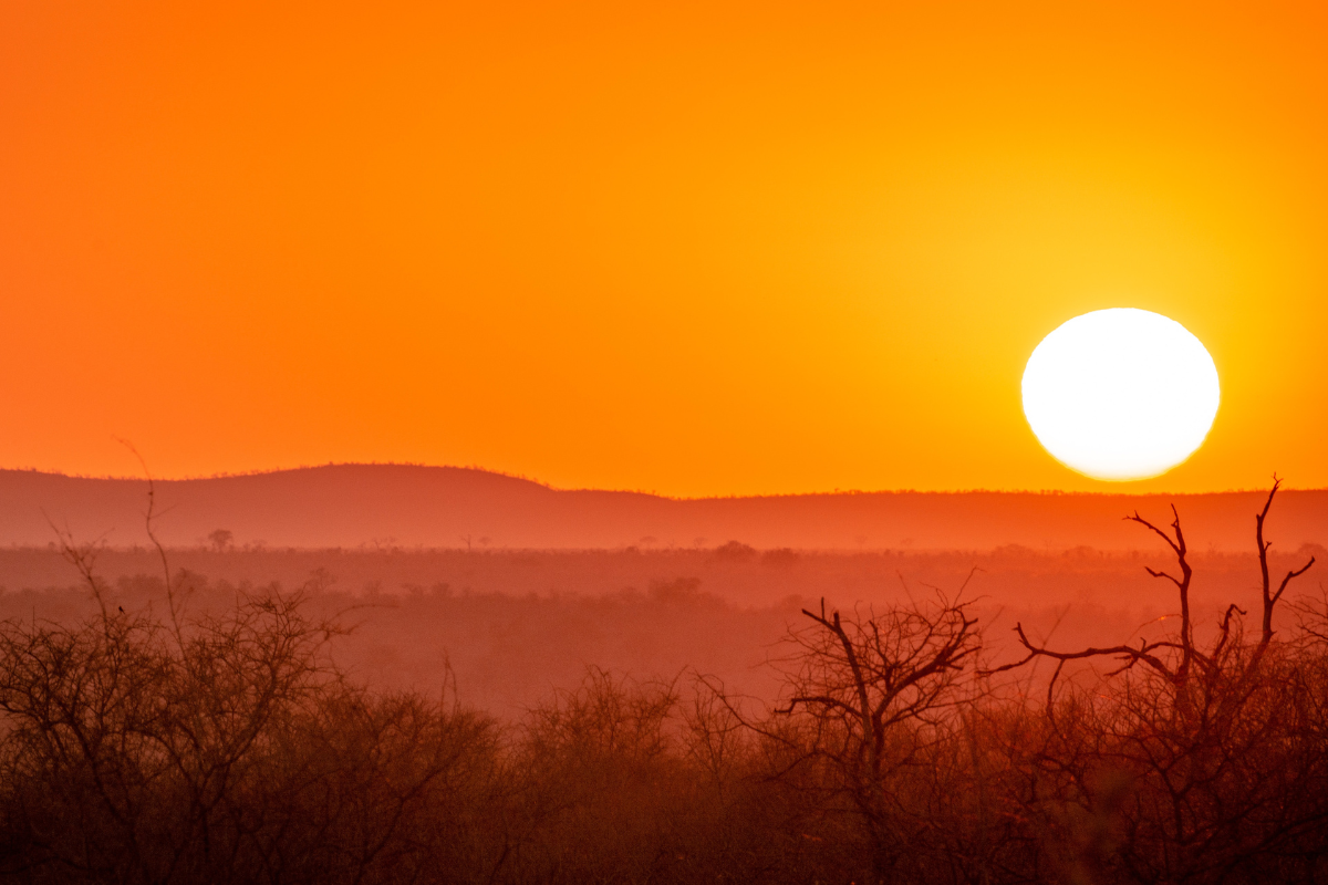 Sunset at Kruger National Park