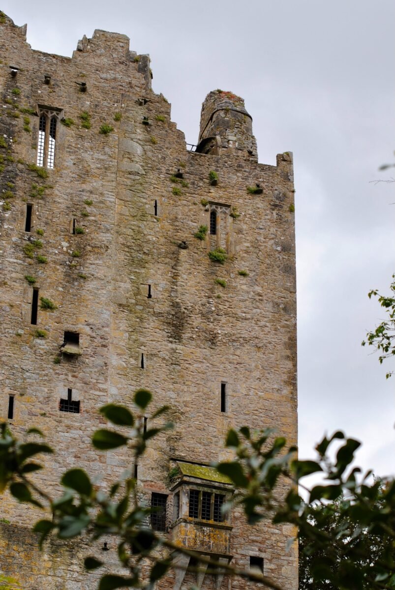 Blarney castle  9 day Ireland itinerary 